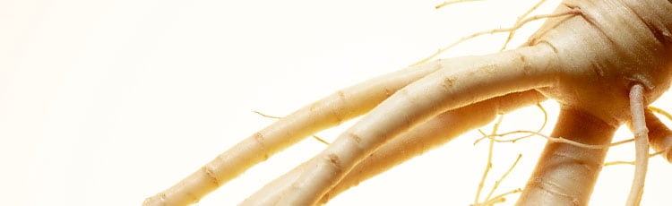 ginseng stems